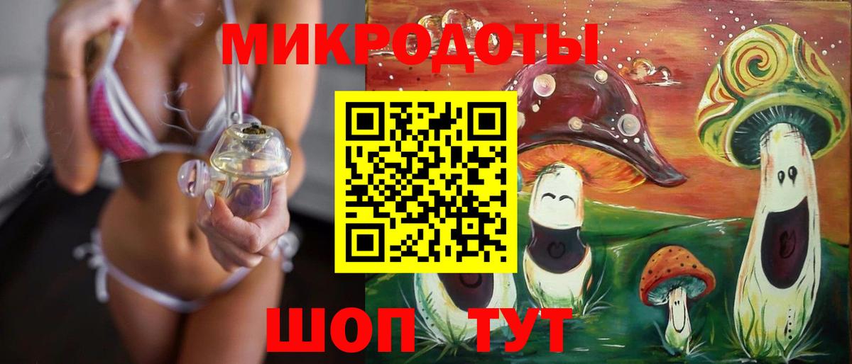 Галлюциногенные грибы Psilocybe  Вход с VPN  Галлюциногенные грибы MAGIC MUSHROOMS  Курчалой 